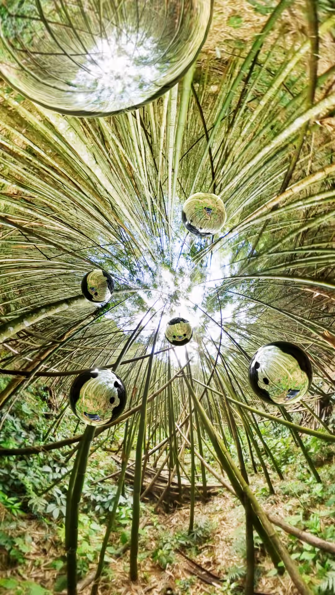 Forest canopy with mirrored orbs