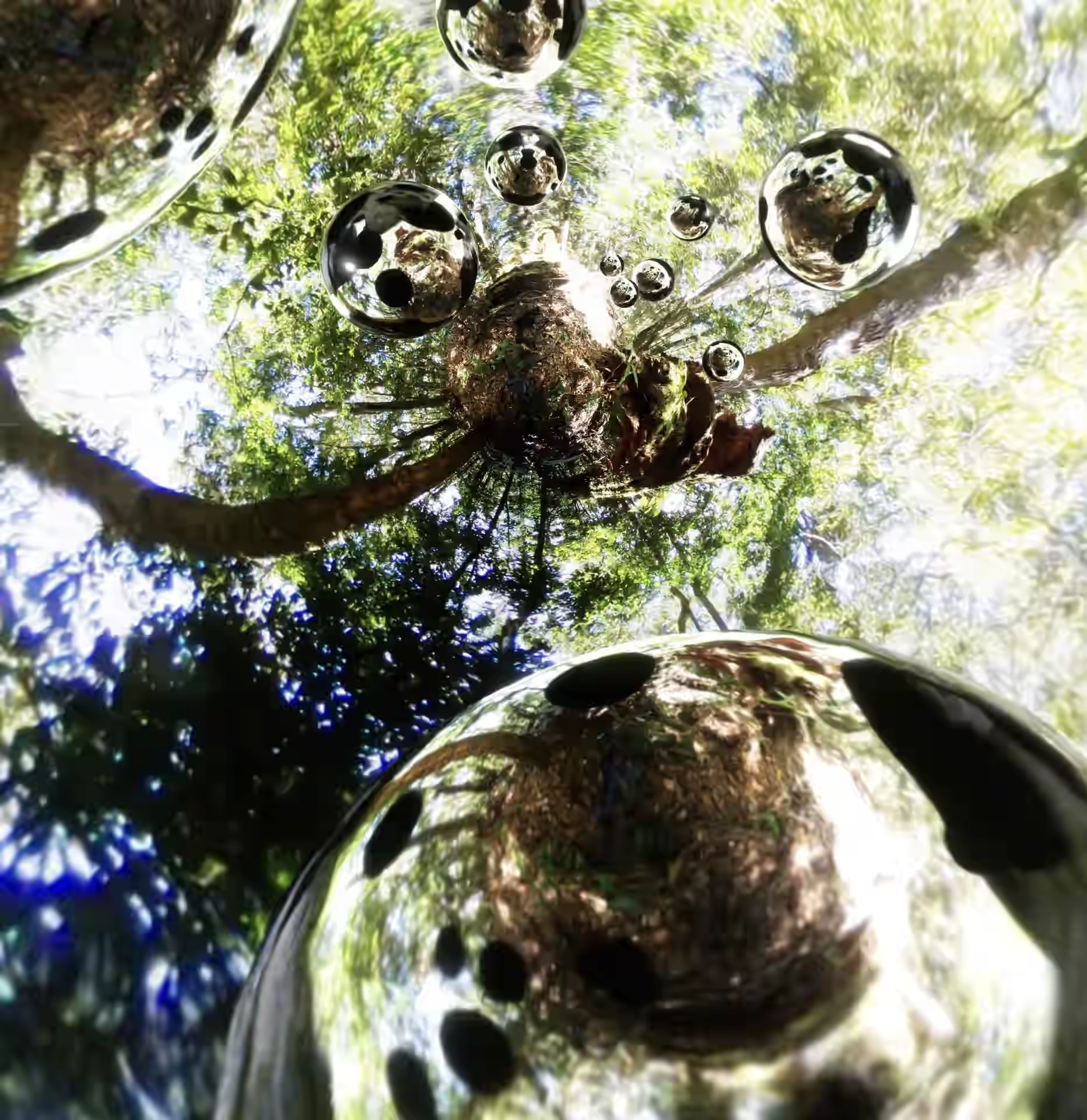 Mirrored orb installation in the forest