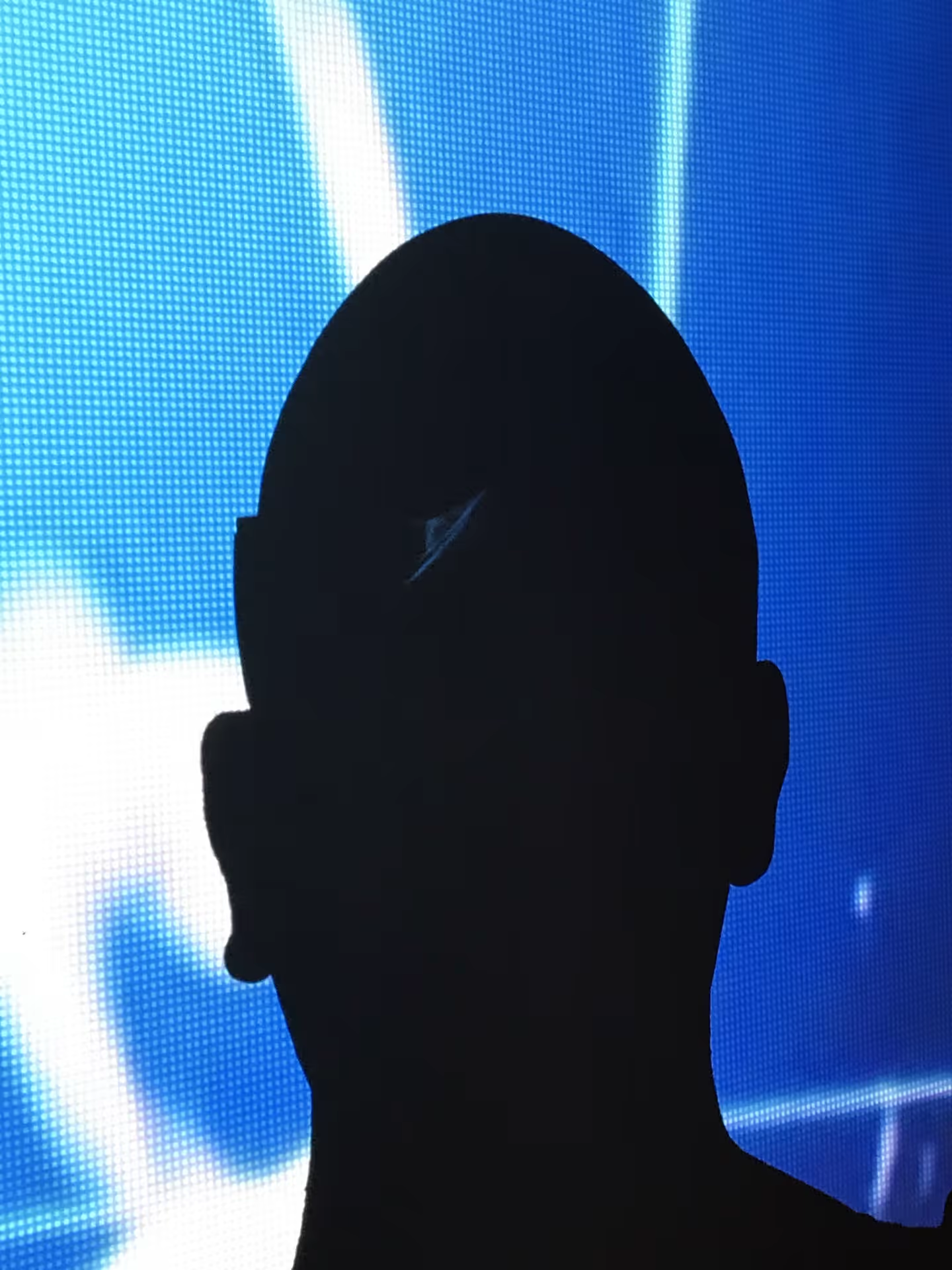 Participant silhouette against projection